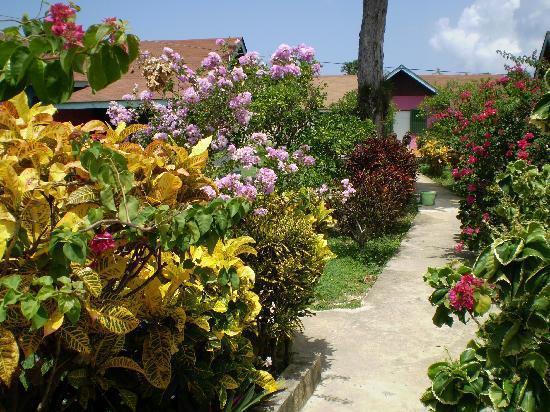 Summerset Residence Negril Exteriör bild
